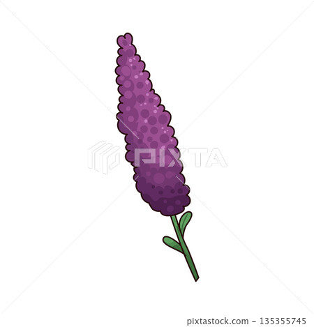 illustration of Heather  135355745