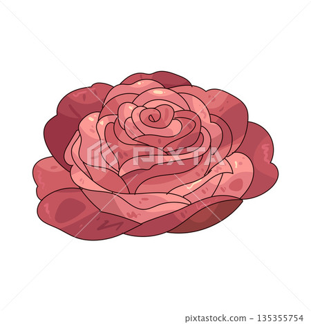 illustration of Rose  135355754