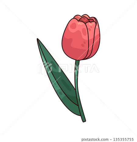 illustration of Tulip illustration of Tulip 135355755