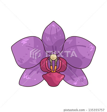 illustration of Orchid illustration of Orchid 135355757