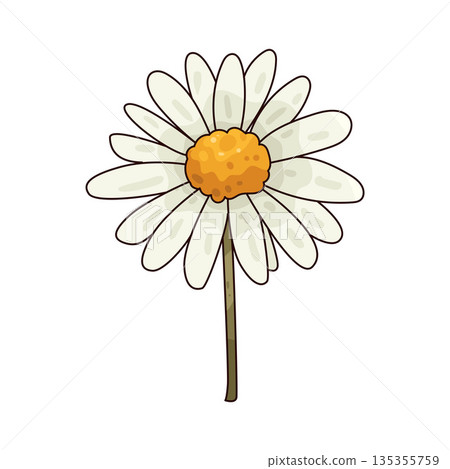 illustration of Daisy 135355759