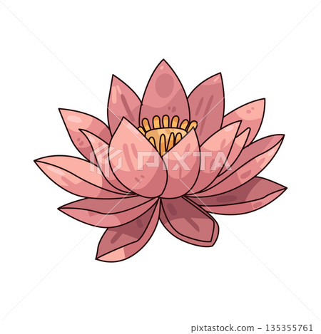 illustration of Lotus  135355761