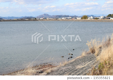 在加古大池(兵庫縣伊波町)賞鳥 在加古大池(兵庫縣伊波町)賞鳥 135355821