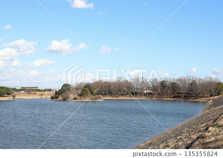 在加古大池（兵庫縣伊波町）賞鳥 135355824