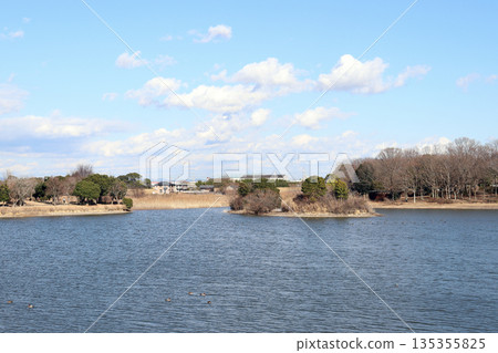 在加古大池（兵庫縣伊波町）賞鳥 135355825