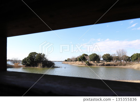 在加古大池（兵庫縣伊波町）的觀鳥牆上觀鳥 135355836