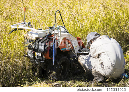 稻米收割畫面：一名男子正在調整手推式稻米收割機上發生故障的捆紮裝置。 135355923