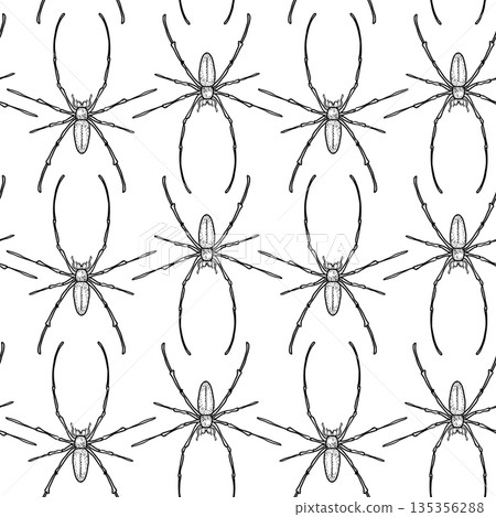 Spider black white vector seamless pattern. Insect animal monochrome background. Halloween or gothic concept with spiders for design textile print or wrap paper. Insect print wallpaper. Bugs pattern. Spider black white vector seamless pattern. Insect animal monochrome background. Halloween or gothic concept with spiders for design textile print or wrap paper. Insect print wallpaper. Bugs pattern. 135356288