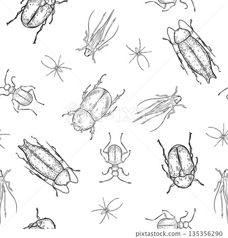Variety of insects and arachnids black white vector seamless pattern. Outline beetles different shapes and form on endless background. Cockroach and bugs repeat for nature print design. 135356290