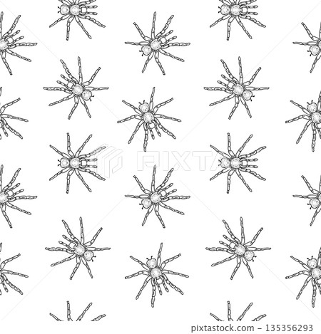 Seamless pattern with a spider vector outline for halloween decoration and scary design. Hand drawn engraving style Tarantula background for textile print. Spooky animals black white repeat texture. Seamless pattern with a spider vector outline for halloween decoration and scary design. Hand drawn engraving style Tarantula background for textile print. Spooky animals black white repeat texture. 135356293