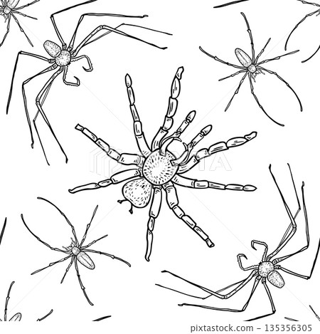 Seamless pattern with black outline arachnid hand drawn. Spider engraved art on repeated background. Graphic sketch style insect for Halloween textile, wallpaper. Creepy spiders Tarantula print. Seamless pattern with black outline arachnid hand drawn. Spider engraved art on repeated background. Graphic sketch style insect for Halloween textile, wallpaper. Creepy spiders Tarantula print. 135356305