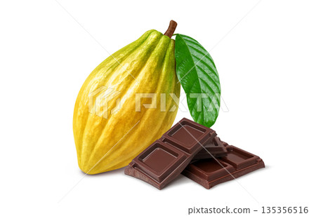 逼真的可可巧克力插圖 135356516