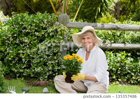 Senior female gardener kneeling in garden wearing gloves holding yellow potted plant by vine fence Senior female gardener kneeling in garden wearing gloves holding yellow potted plant by vine fence 135357486