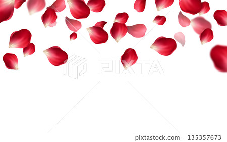 Falling Rose Petals Background 135357673