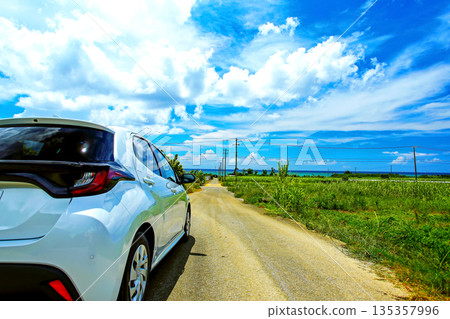 沖繩讀著谷村,穿過甘蔗田通往大海的筆直道路 沖繩讀著谷村,穿過甘蔗田通往大海的筆直道路 135357996