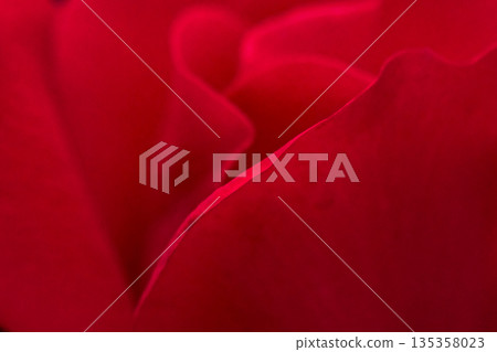 圖：深紅色 135358023