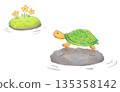 Turtle illustration 135358142