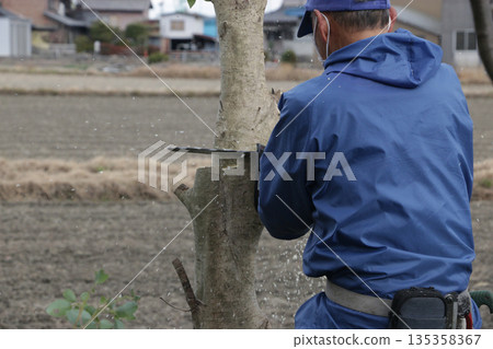 砍伐樟樹 135358367