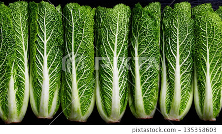 Fresh green napa cabbage leaves arranged neatly showcasing crisp white veins and vibrant texture for culinary use in healthy vegetable dishes everyday market. AI Generated 135358603