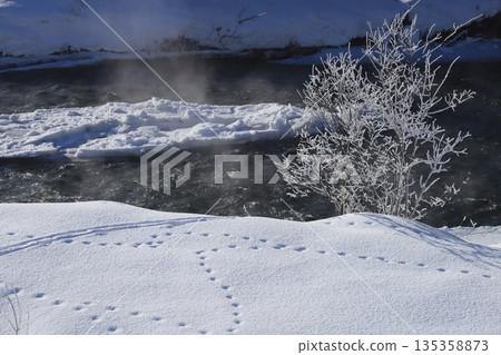 寒冷的冬日清晨：河畔森林覆蓋著一層銀色的霜凍 135358873