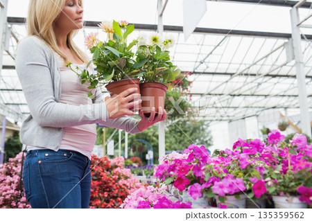 Woman in her 30s holding two terracotta pots of blooming dahlias in greenhouse, copy space 135359562