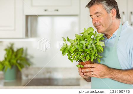 Senior man sniffing basil in terra-cotta pot in home kitchen wearing mint-green apron, copy space 135360776