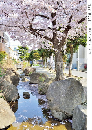 睦地水濱公園（埼玉市南區） 135361278