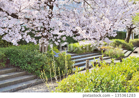 睦地水濱公園（埼玉市南區） 135361283