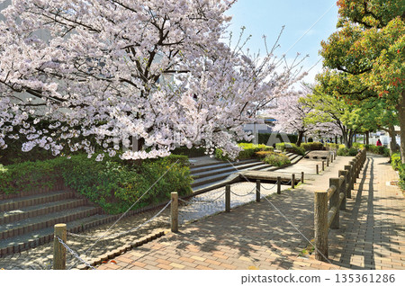 睦地水濱公園（埼玉市南區） 135361286
