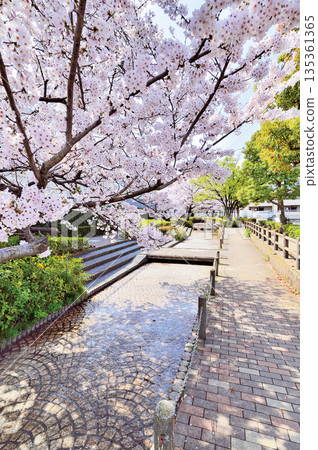 睦地水濱公園（埼玉市南區） 135361365