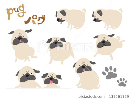 各種巴哥犬的插圖 135361539