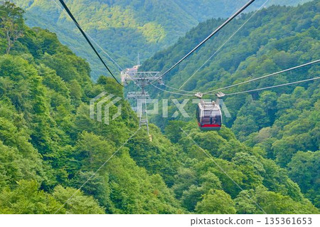 谷川岳索道穿過鬱鬱蔥蔥的綠地。 135361653