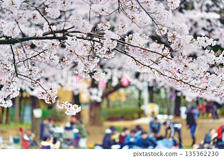 Warabi Civic Park Warabi Civic Park 135362230