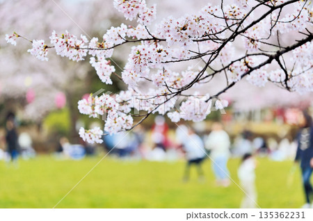 Warabi Civic Park Warabi Civic Park 135362231