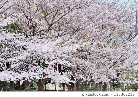 Warabi Civic Park Warabi Civic Park 135362232
