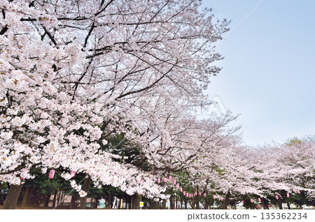 Warabi Civic Park Warabi Civic Park 135362234