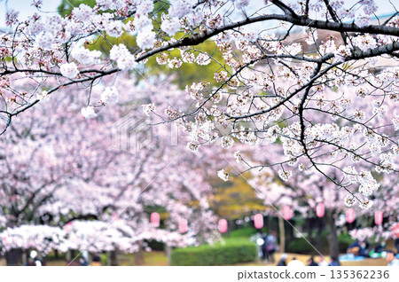 Warabi Civic Park Warabi Civic Park 135362236