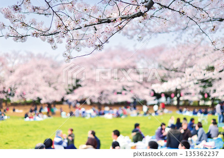 Warabi Civic Park Warabi Civic Park 135362237