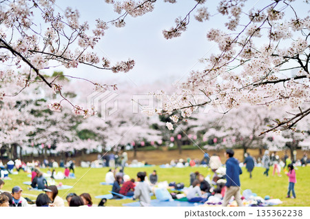 Warabi Civic Park Warabi Civic Park 135362238