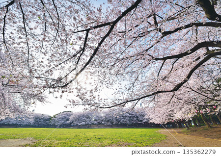 Warabi Civic Park Warabi Civic Park 135362279