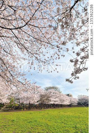 Warabi Civic Park Warabi Civic Park 135362286