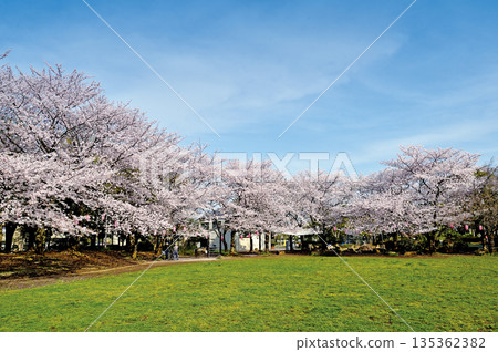 Warabi Civic Park Warabi Civic Park 135362382