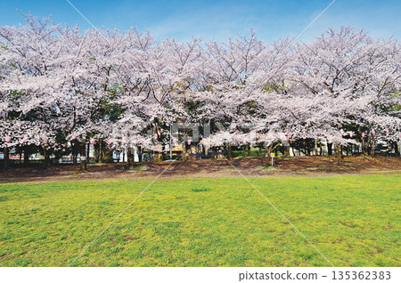 Warabi Civic Park Warabi Civic Park 135362383