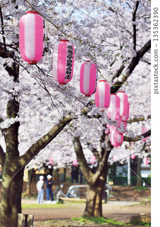 Warabi Civic Park Warabi Civic Park 135362390