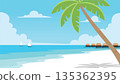 Minimal Tropical Beach Summer Scene 135362395