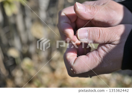 男人粗糙不堪的雙手 135362442