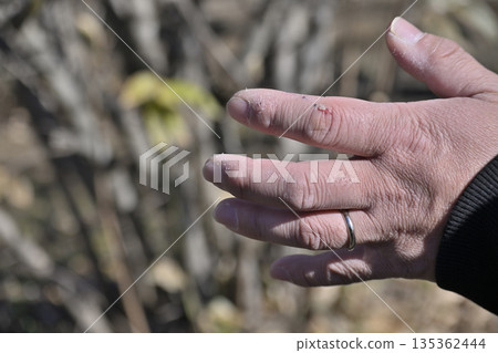 男人粗糙不堪的雙手 135362444
