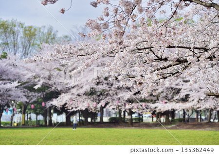 城堡 砂坑 揮舞 135362449