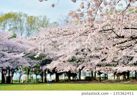 城堡 砂坑 揮舞 135362451