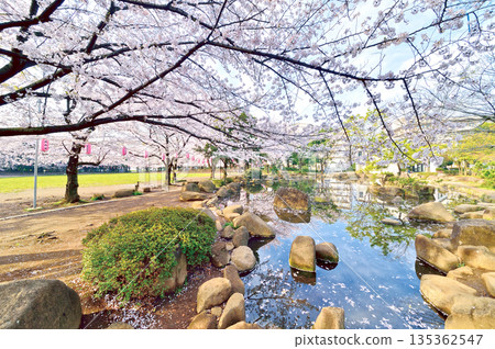 Warabi Civic Park Warabi Civic Park 135362547